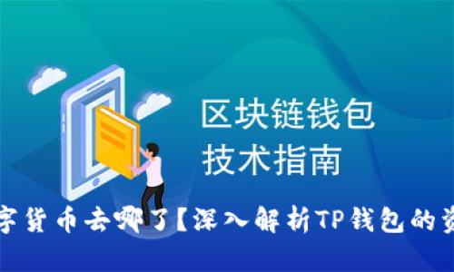 优质TP钱包中的数字货币去哪了？深入解析TP钱包的资金存储和管理机制